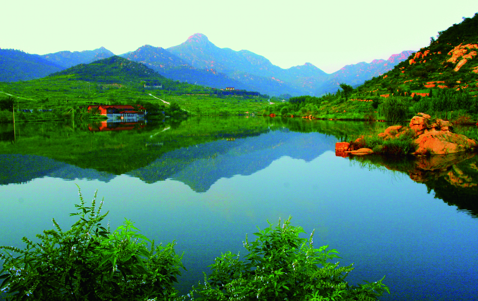 1668473353355115.png image.png