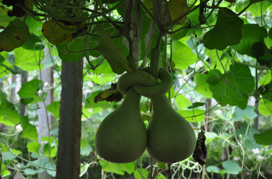 1670566680917946.png image.png