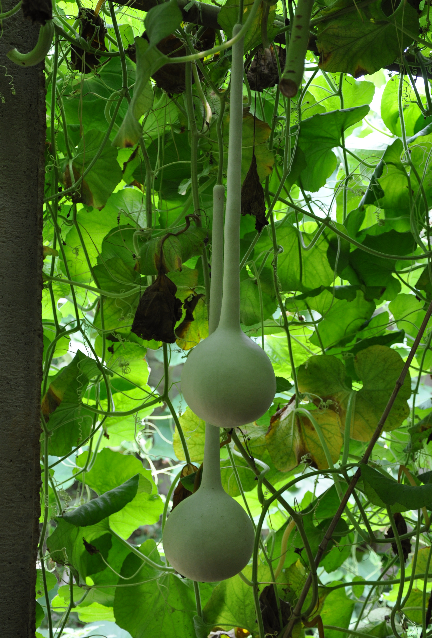 1670566692390816.png image.png