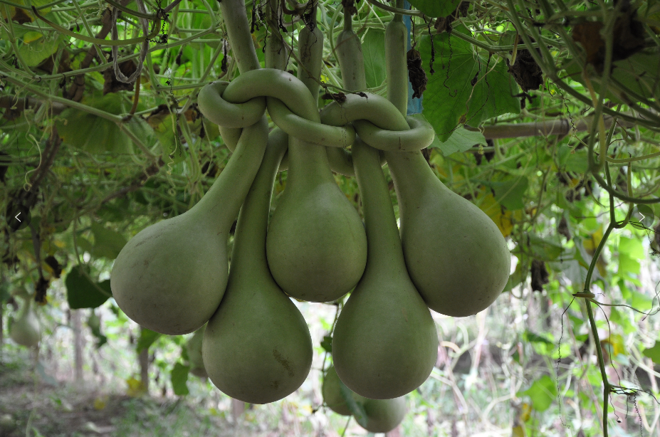 1670566708772659.png image.png