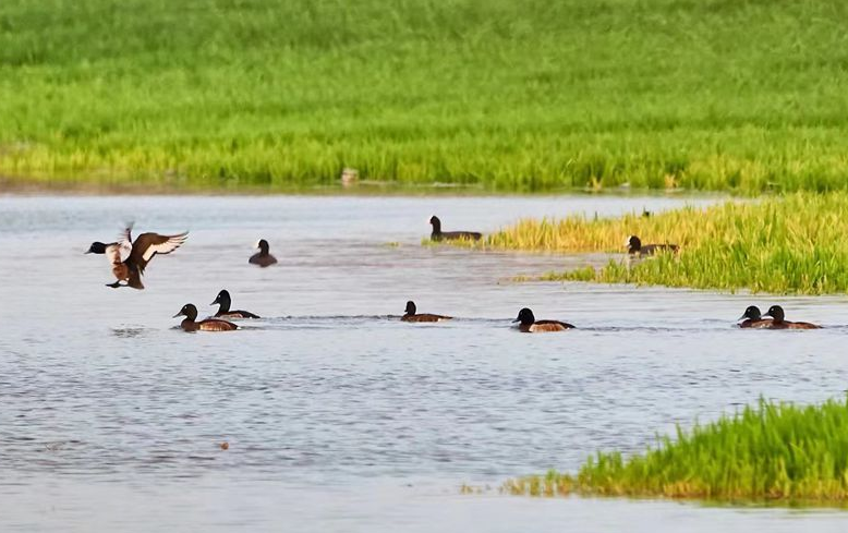 1689319650217765.png image.png