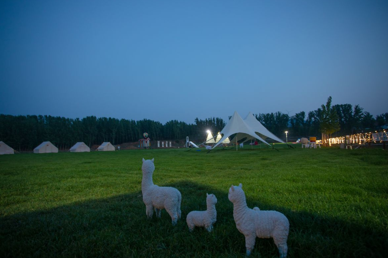 1695109900428728.png image.png