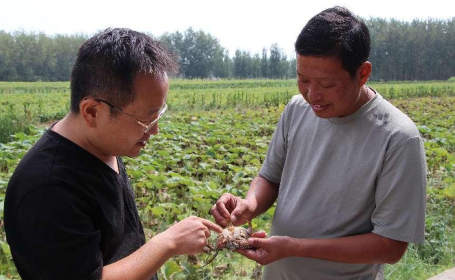 1699512570442678.png image.png