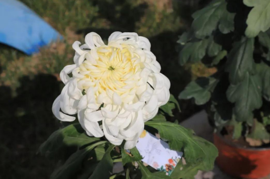 1699841381880345.png image.png