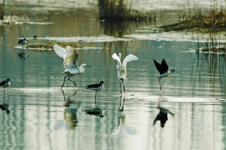 1701995476373744.png image.png