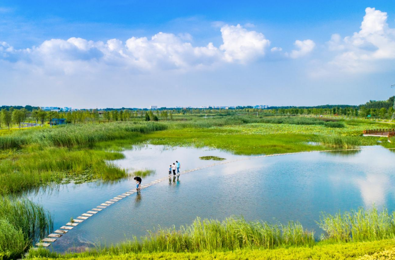 1709872580287654.png image.png