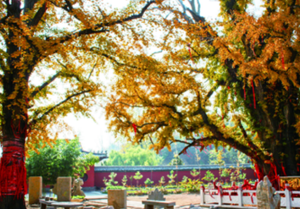 1710830834395644.png image.png