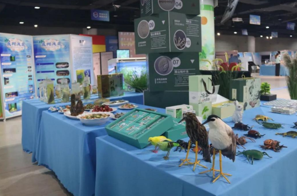 1729049633975022.png image.png