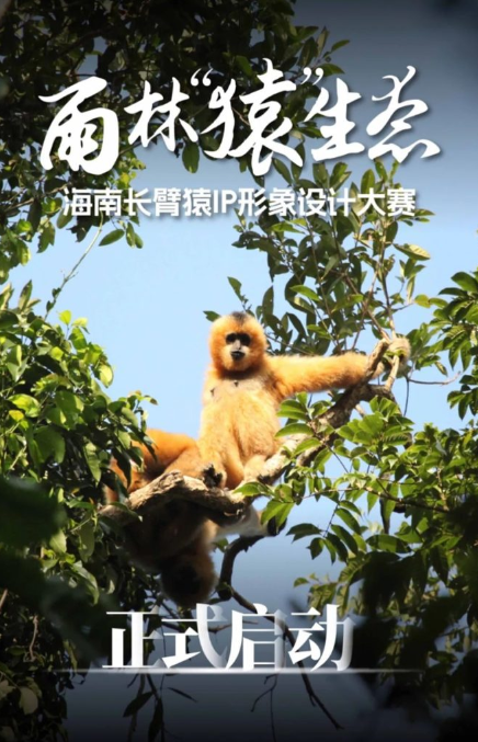 1729049796884753.png image.png