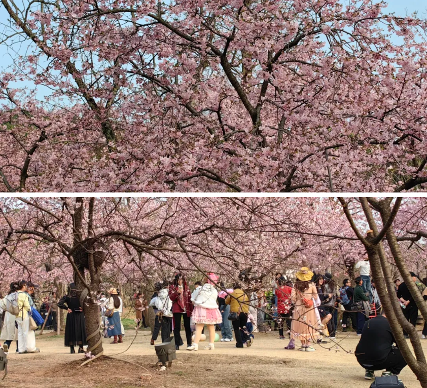 1741924062842105.png image.png