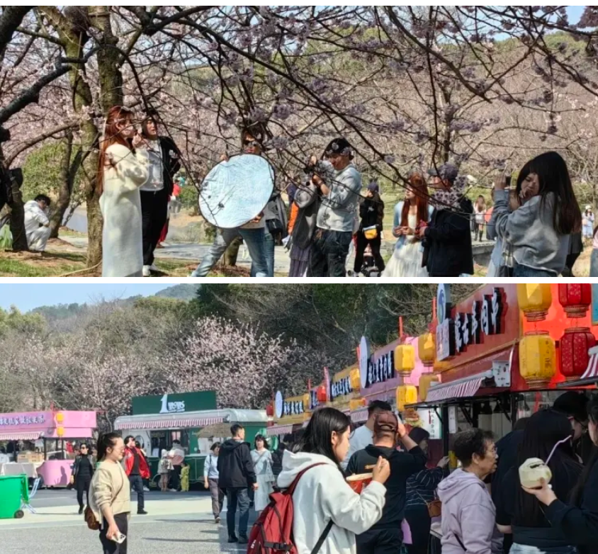 1741924114332428.png image.png