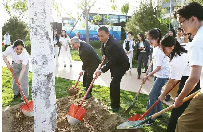 1747356182594559.png image.png