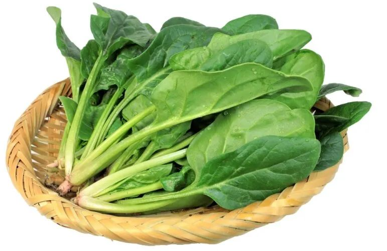 1748831399255011.png image.png