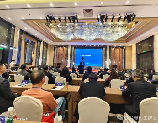 1765765003964578.png image.png