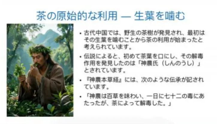 1792396198606789.png image.png
